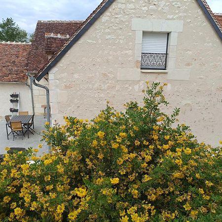 Gite De La Grand Maison Le Noyer Seigy Zewnętrze zdjęcie