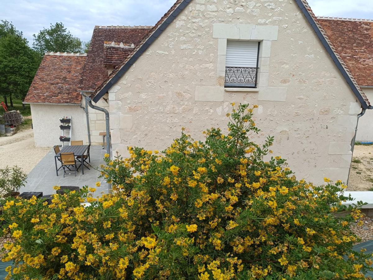 Gite De La Grand Maison Le Noyer Seigy Zewnętrze zdjęcie
