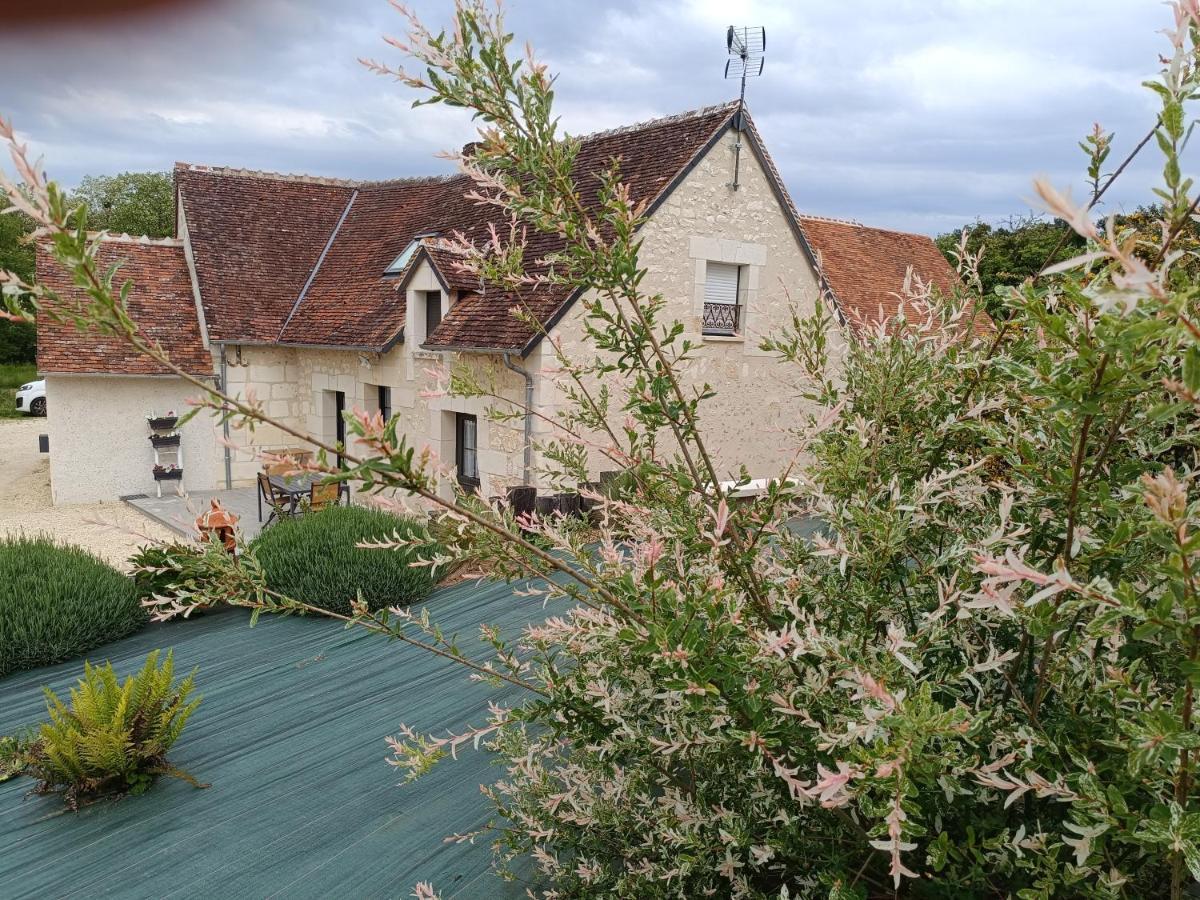 Gite De La Grand Maison Le Noyer Seigy Zewnętrze zdjęcie